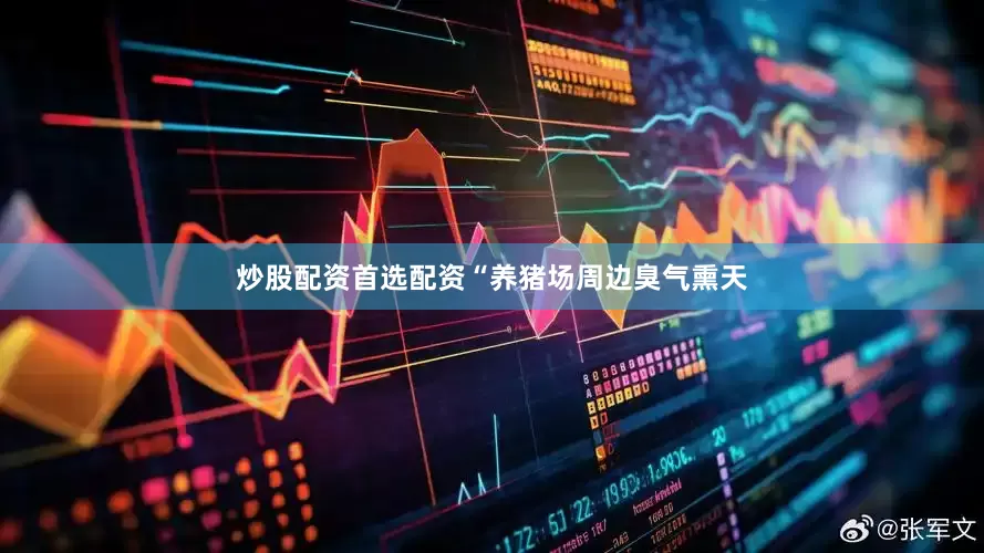 炒股配资首选配资“养猪场周边臭气熏天