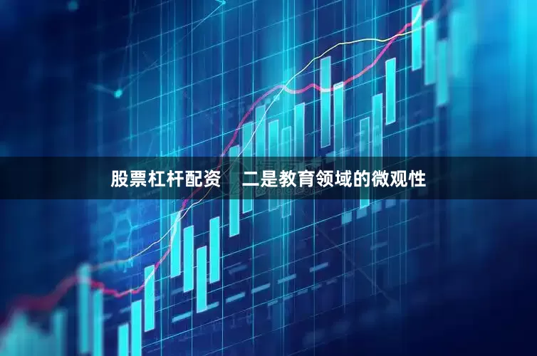 股票杠杆配资    二是教育领域的微观性