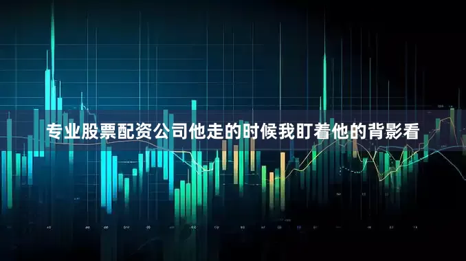 专业股票配资公司他走的时候我盯着他的背影看