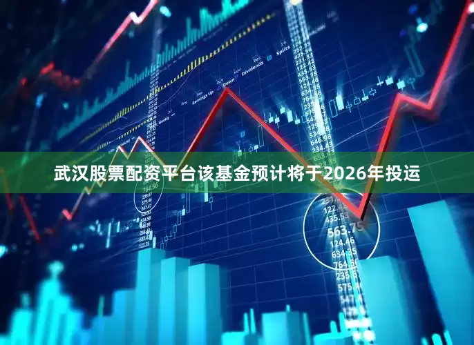 武汉股票配资平台该基金预计将于2026年投运