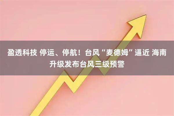 盈透科技 停运、停航！台风“麦德姆”逼近 海南升级发布台风三级预警
